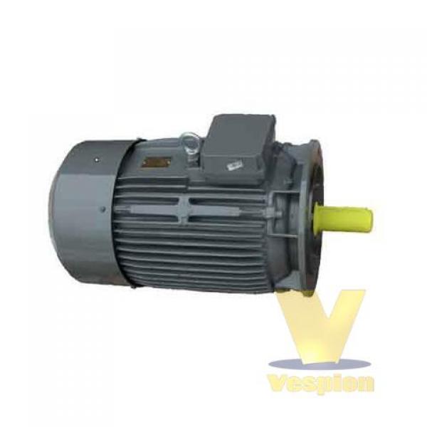 CANTONI ELECTRIC MOTOR 42KW